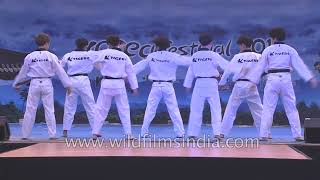 Taekwondo performance by KTigers from Korea [upl. by Ludlew301]