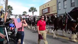 Daytona Bike Week Clydesdales parade [upl. by Leupold]