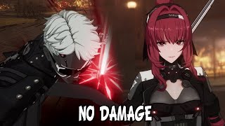 【Punishing Gray Raven】 Nigel VS VeraGarnet No Hit  Damage [upl. by Solnit951]