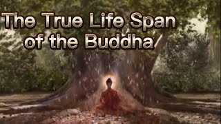 The True Life Span of the Buddha Where did the Buddha go after Parinirvana [upl. by Obara]