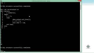 Oracle  PLSQL  Loops [upl. by Womack260]