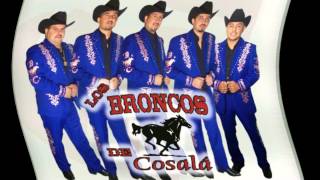 LOS BRONCOS DE COSALA DE AHI PAL REAL [upl. by Iorgo469]