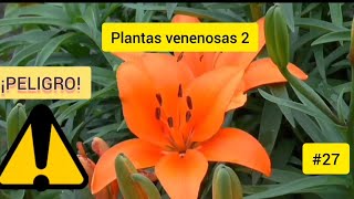 PLANTAS VENENOSAS  2 [upl. by Cordey]