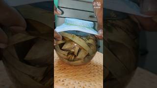 how to culture infusoria with banana leaf how howto culture infusoria bettabreeding shorts [upl. by Jehias]