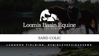 Equine Sand Colic Signs amp Symptoms Diagnosis and Treatment [upl. by Zephan]