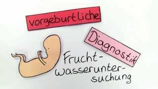 Fruchtwasseruntersuchung  Biologie  Genetik [upl. by Cortney]