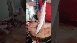 Surmai fish cutting youtubeshorts fishcutting shortsyoutube trending [upl. by Ardnuat]