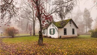 Misty Autumn Walk Through a Quaint Neighborhood  Hillsboro Oregon [upl. by Vinna]