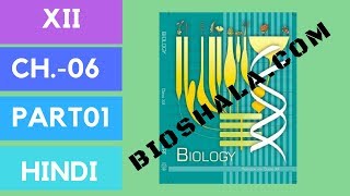 Chapter 6 Molecular basis of inheritance NCERT level HINDI Part1 [upl. by Reta]