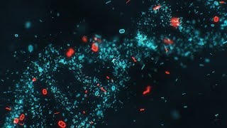 DNA Binary Genetic Code  4K Stock Video [upl. by Ecienal]