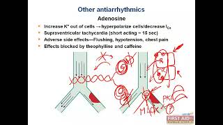 Other Antiarrhythmic Drugs Adenosine MOA CVS pharmacology video part 12 from USMLE First Aid Step 1 [upl. by Nelrah]