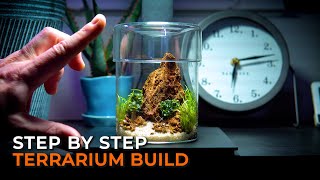 Creating a Mountain in a Terrarium  Step by Step [upl. by Montague]