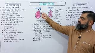 Anaemia UrduHindi medium profmasoodfuzailanaemia anemiaproblems anemiatreatment anemia [upl. by Tawney]