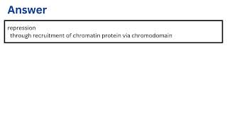 what is the effect of methylating lysine 9 [upl. by Einama]