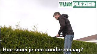 Hoe snoei je een Conifeer  TUINPLEZIER [upl. by Nmutua]