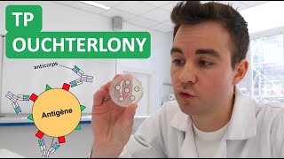 👨‍🔬 TP Ouchterlony 🧫🧪 ECE ultra classique  Objectif 2020 [upl. by Ellinad]