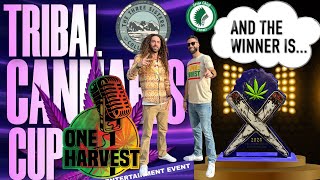 What Makes a Winning Strain Judging the Tribal Cannabis Cup [upl. by Aissak829]