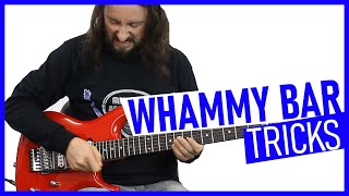 Guitar Whammy Bar Tricks [upl. by Novyad]