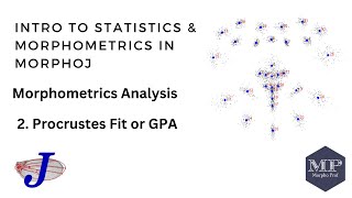 2 Procrustes Fit or GPA in MorphoJ [upl. by Epner397]