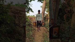 इस साल First time bagan me pani dale horticulture shorts trending agriculuture indianfarmer [upl. by Llevert997]