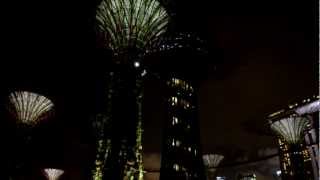 Singapores Supertree Light Show [upl. by Bussy]