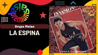 🔥LA ESPINA por GRUPO MELAO con HUGO ALANDETTE  Salsa Premium [upl. by Atniuq498]