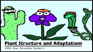 OLD VIDEO Plant Structure and Adaptations [upl. by Ynnij]