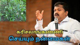 உடலை உறுதியாக்கும் கரிசலாங்கண்ணி பயன்கள்  DrSivaraman speech on Karisalaanganni [upl. by Yeliw]