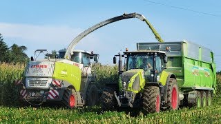 Agromeccanica Assanelli  Mais Silage  Claas Jaguar 960  DeutzFahr [upl. by Alehc]