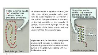 Metabolism amp Nutrition Part 1 Crash Course Anatomy amp Physiology 36 [upl. by Swamy]