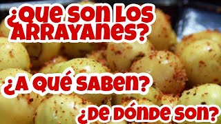 ¿QUÉ SON LOS ARRAYANES HISTORIA DE LOS ARRAYANES [upl. by Geiss]