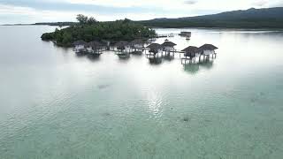 Drone Aerial video of the famous Para Nuii in the island garden of Pohnpei Ponape State FSM [upl. by Dahs633]