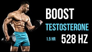 528 Hz  Boost Testosterone  Extended  Subliminal  15hr [upl. by Berte]