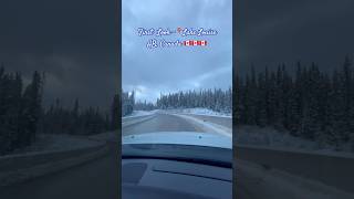 Entering my first winterland lakelouise canada canadianrockies winteriscoming banffcanada [upl. by Anallij]