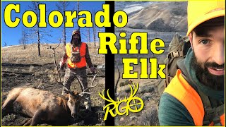 Colorado Elk  2nd Season Rifle OTC  RGO 318 [upl. by Oecile401]