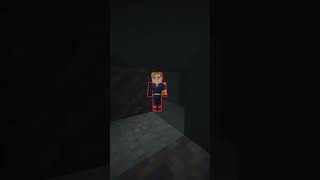 Hide and Seek on Minecraft minecraft smp survival [upl. by Noemis]