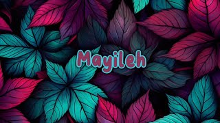 Mayileh Song Lyrics  Havoc Brothers [upl. by Silas706]