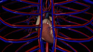 Class III Antiarrhythmics for Arrhythmias irregular heartbeat [upl. by Oshinski]