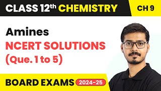 Amines  NCERT Solutions Que 1 to 5  Class 12 Chemistry Chapter 9  CBSE 202425 [upl. by Bbor]