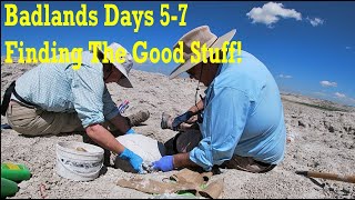 Badlands Fossil Hunting Days 57 Finding The Good Stuff thefinders fossil badlands bones [upl. by Gabler]