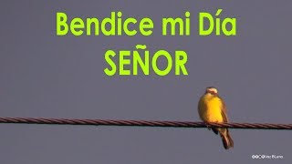 Bendice mi día Señor  Oración de la Mañana [upl. by Marih]