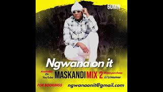 Ngwana on it  Maskandi mix 2 [upl. by Painter]