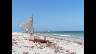 As 12 praias mais bonitas de Pernambuco 2015 [upl. by Panaggio]