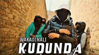 Wakadinali  KUDUNDA REMIX Official Music Video [upl. by Eerot]