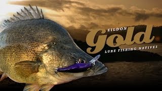 Eildon Gold  Lake Eildon Fishing Golden Perch on Lures [upl. by Poppo]