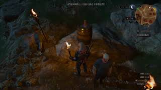 The Witcher 3 Glitch in Tourney Grounds Toussaint [upl. by Nagy167]