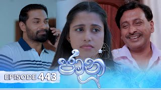 Jaanu  Episode 443  20241105  ITN [upl. by Einad]