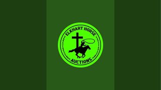 Elkhart Horse Auctions is live Saddle and outside sale [upl. by Adnilev]