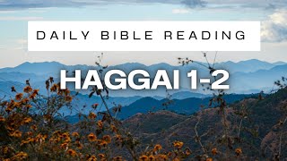 DAILY BIBLE READING  Haggai 12 HCSB  November 14 2024 [upl. by Javler]