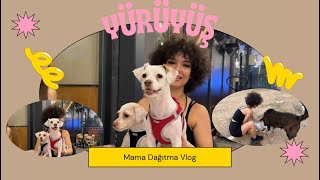 YÜRÜYÜŞ VE MAMA DAĞITMA VLOG [upl. by Nitsirt]